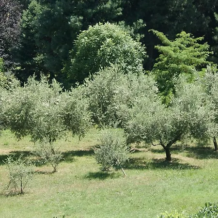 Del 700 Appartement *